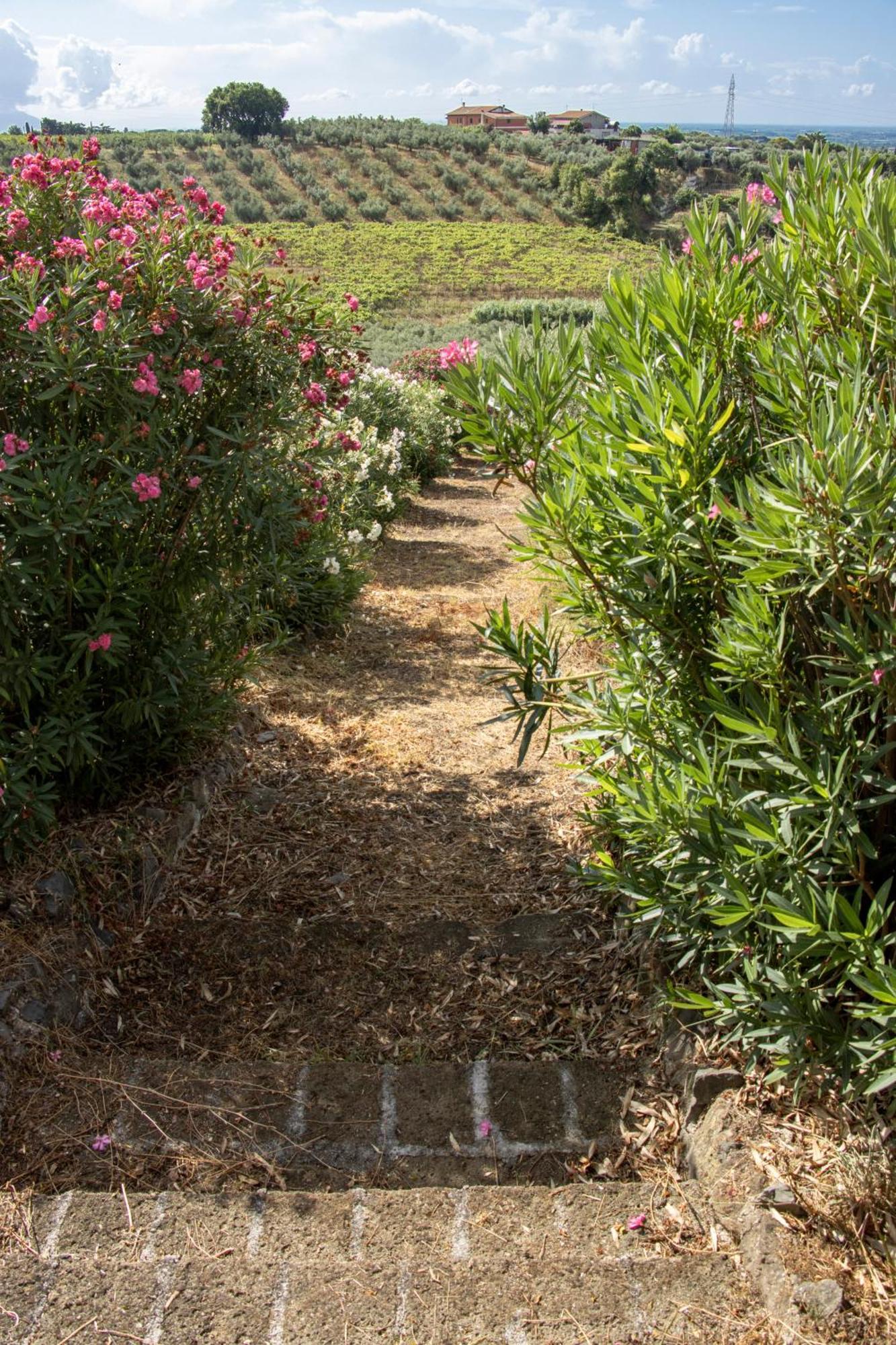 Vigna Luisa Resort - Near Rome Genzano di Roma Zewnętrze zdjęcie