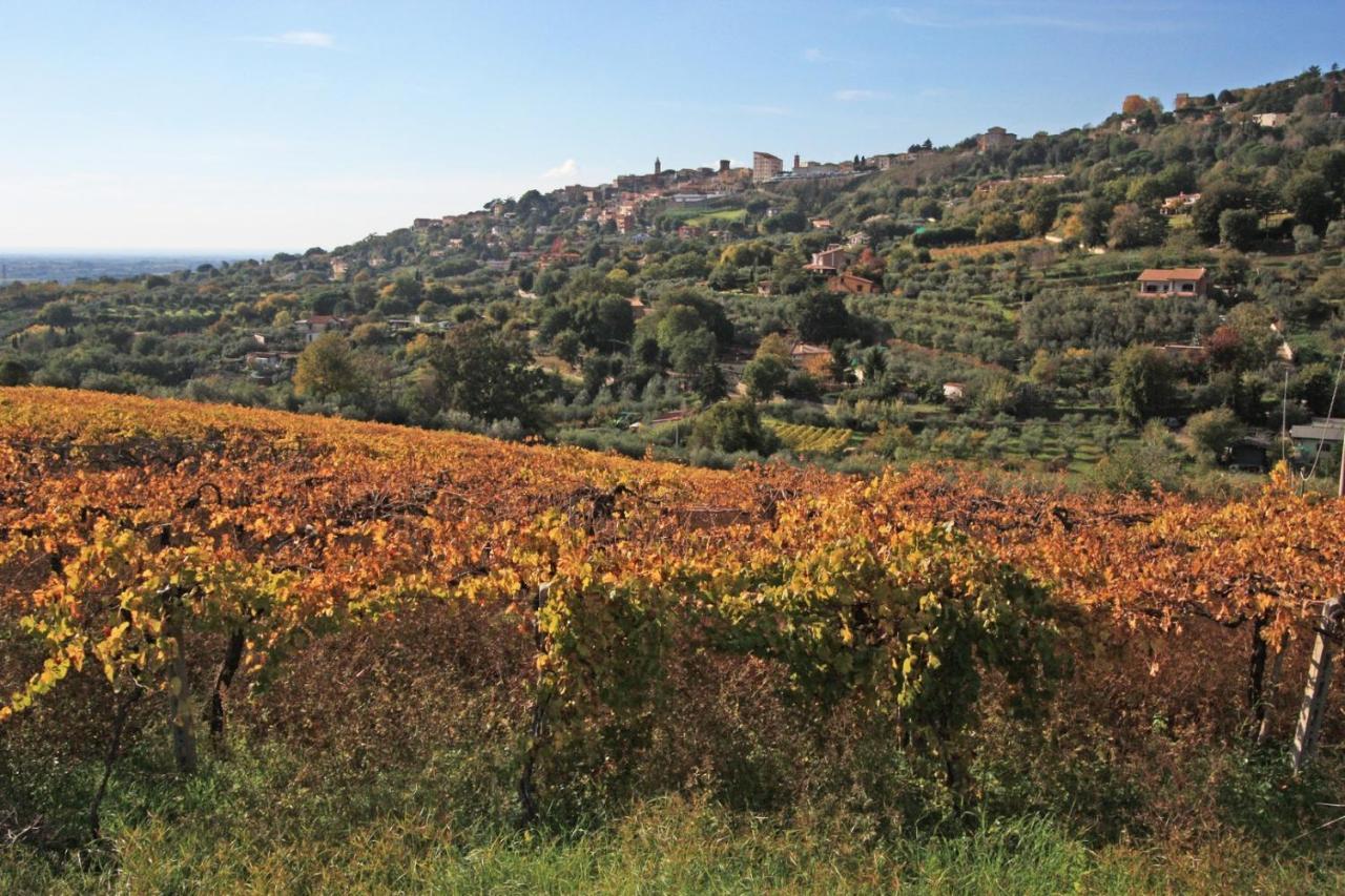 Vigna Luisa Resort - Near Rome Genzano di Roma Zewnętrze zdjęcie